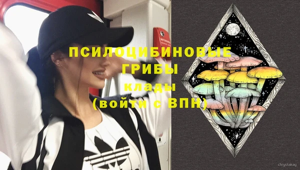 спайс Абаза
