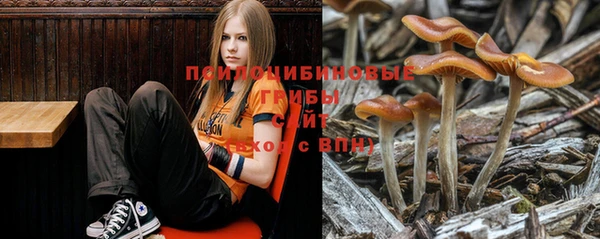 наркотики Абинск