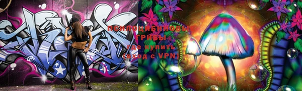 ALPHA PVP Пролетарск