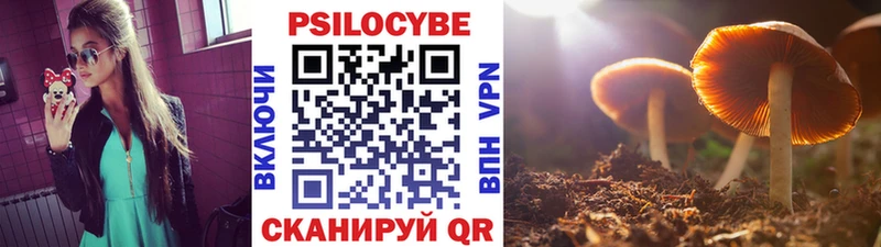 Псилоцибиновые грибы прущие грибы наркотики KRAKEN маркетплейс Карасук
