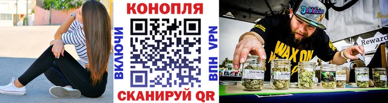 Канабис план  Карасук 